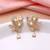 White color american diamond earrings