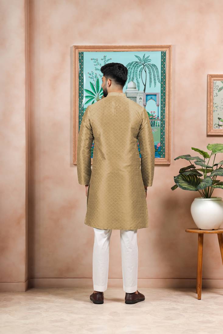 Chikoo color graceful partywear kurta payjama for mens ceremonial looks