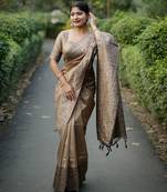 Brown color handloom raw silk fabric ethnic partywear saree