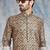 Beige printed banarasi silk straight kurta for men