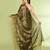 Women`s golden zari cotton tissue sequin saree