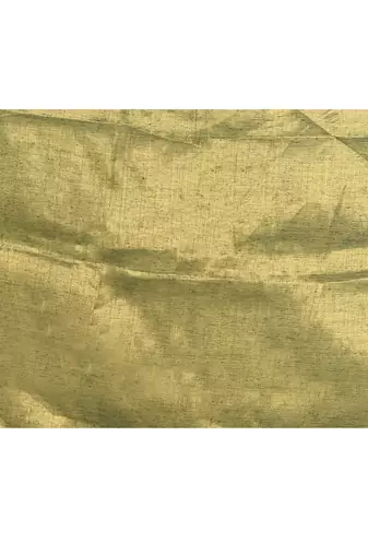 Women`s golden zari cotton tissue sequin saree