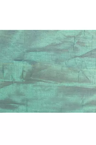 Women`s blue green zari cotton tissue sequin saree