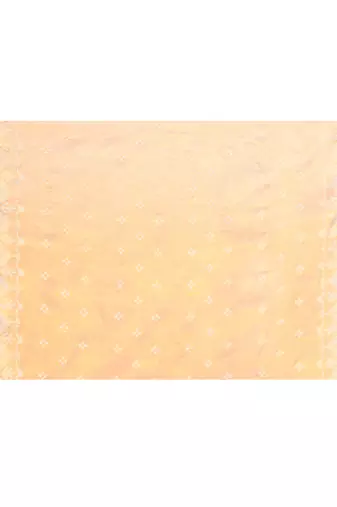 Women`s gold zari cotton tissue jamdani saree