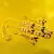 Micro Platted Moti Meenakari Polki Necklace With Earing