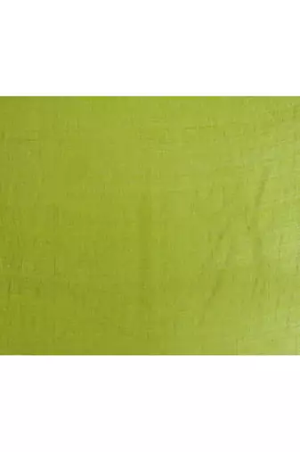 Women's apple green embellished sequinned cotton saree