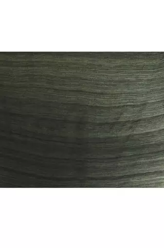 Women's black embellished sequinned cotton saree