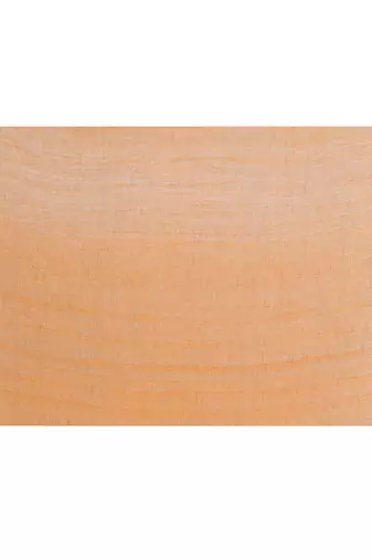 Women's bronze embellished sequinned cotton saree