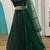 GREEN Rainbow Sequins & Dori Work Net Flared Lehenga with Net Dupatta and Unstitched Net Blouse