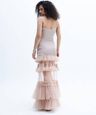 Beige embroidered net dress 5