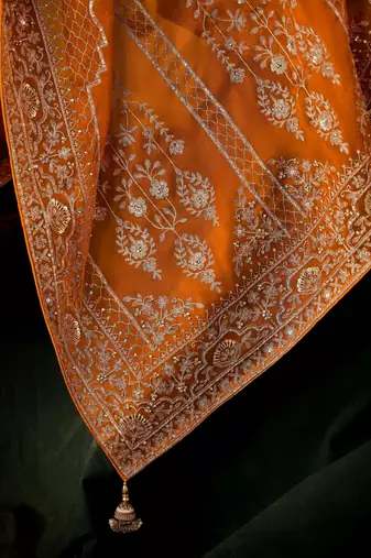 Rust luxury bridal saree for wedding | fancy fabric saree with hand embroidery & blouse