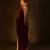 Maroon Color Embroidered Velvet Saree
