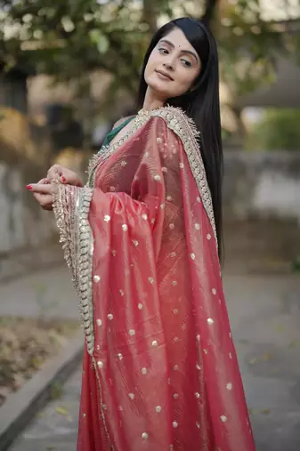 Red Color Embroidered Banarasi Crush Saree