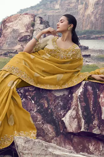 yellow tissue silk blend jacquard saree with beige pure tissue blouse  vibrant festive wear saree