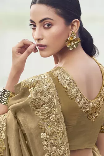 chiku pure banarasi silk blend saree with satin silk blend blouse  festive banarasi saree