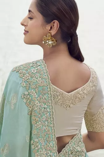 sky blue tissue silk blend jacquard saree with chiku pure tissue blouse  soft & elegant saree