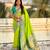 Soft silk swan rajhans paithani saree