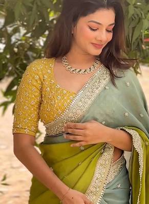 Multi Color Embroidered Chiffon Saree 1