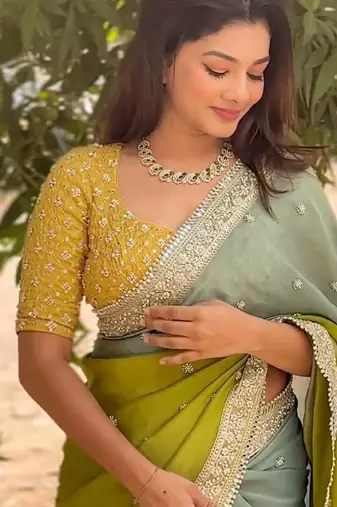 Multi Color Embroidered Chiffon Saree