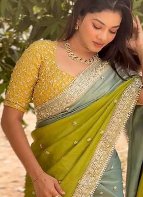 Multi Color Embroidered Chiffon Saree 2