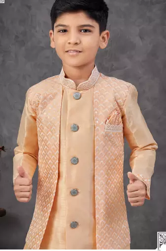 Orange banarasi silk embroidered indowestern