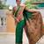 green  faux banarasi silk blend saree with paithani rich weaved pallu and blouse
