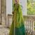 light green soft raw art silk pochampally ikat weaving saree with resham jal & zari border traditional saree with blouse