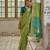 light green soft raw art silk pochampally ikat weaving saree with resham jal & zari border traditional saree with blouse