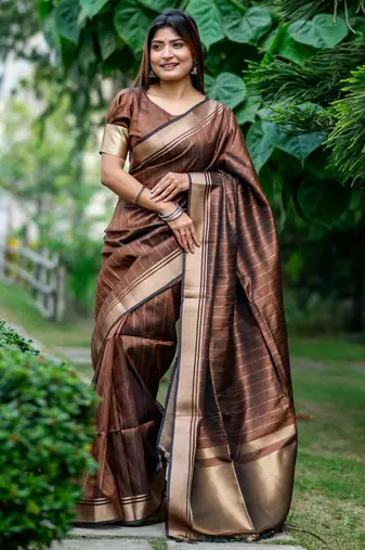 brown banarasi raw art silk saree with zari lining weaving & rich zari pallu     with running blouse