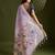 Lavender muga cotton silk paithani saree with resham weaving pallu, muniya border & handwoven blouse piece