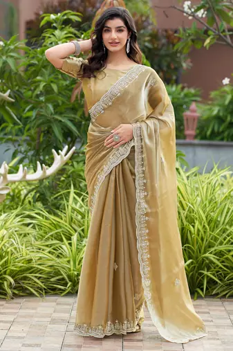Beige embroidery work shimmer chiffon saree with unstitched blouse