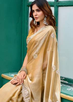Beige embroidery work shimmer chiffon saree with unstitched blouse 2