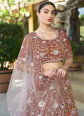 Brown ZARKAN & Sequence Pure Cosmos Tissue Lehenga 4