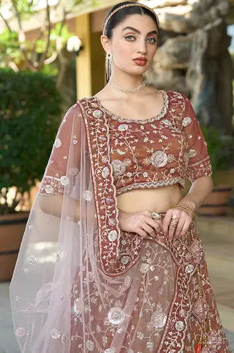 Brown ZARKAN & Sequence Pure Cosmos Tissue Lehenga