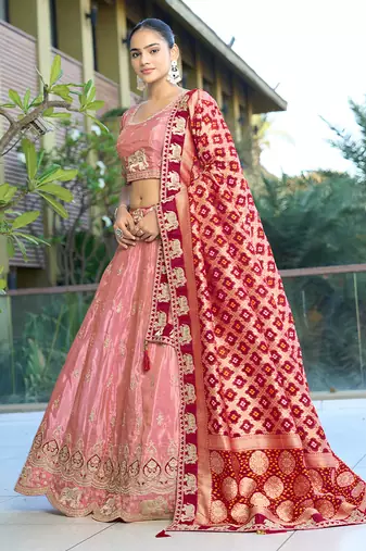 Pink Gota Work & Codding Pure Cosmos Viscose Lehenga