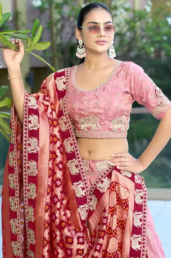 Pink Gota Work & Codding Pure Cosmos Viscose Lehenga