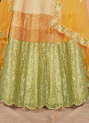 Yellow & Green embroidered Sequence & Zarakan Work 4
