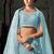 Sky Blue Mirror Zarkan Net Lehenga