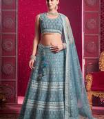 Blue Codding & Sequqnce Wrok Net Lehenga