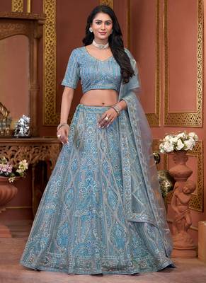 Sky Blue Zarkan Premium Net  Lehenga 1