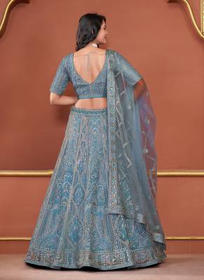 Sky Blue Zarkan Premium Net  Lehenga 2