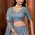 Sky Blue Zarkan Premium Net  Lehenga