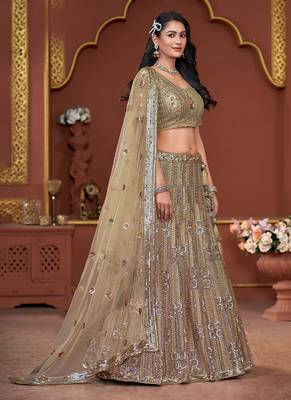 Beige Sequence & Zarkan Premium Net  Lehenga 4