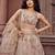 Beige Net Fabric Sequins embroidery Semi Stitched Lehenga & Unstitched Blouse With Dupatta