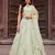 Lime green Net Sequins embroidered Lehenga Choli With Dupatta