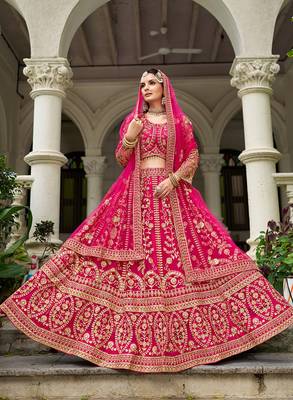 Rani Pink Butterfly Net With Embroidered Work Lehenga choli 1