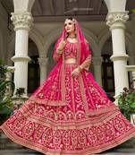 Rani Pink Butterfly Net With Embroidered Work Lehenga choli