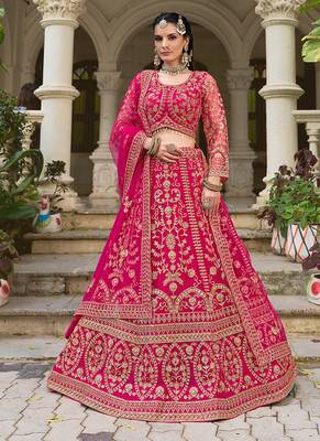 Rani Pink Butterfly Net With Embroidered Work Lehenga choli 2