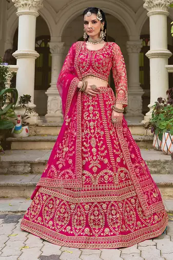 Rani Pink Butterfly Net With Embroidered Work Lehenga choli