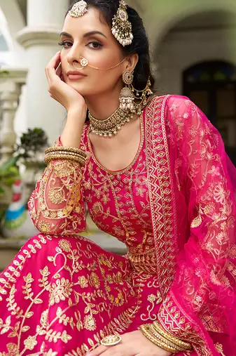 Rani Pink Butterfly Net With Embroidered Work Lehenga choli